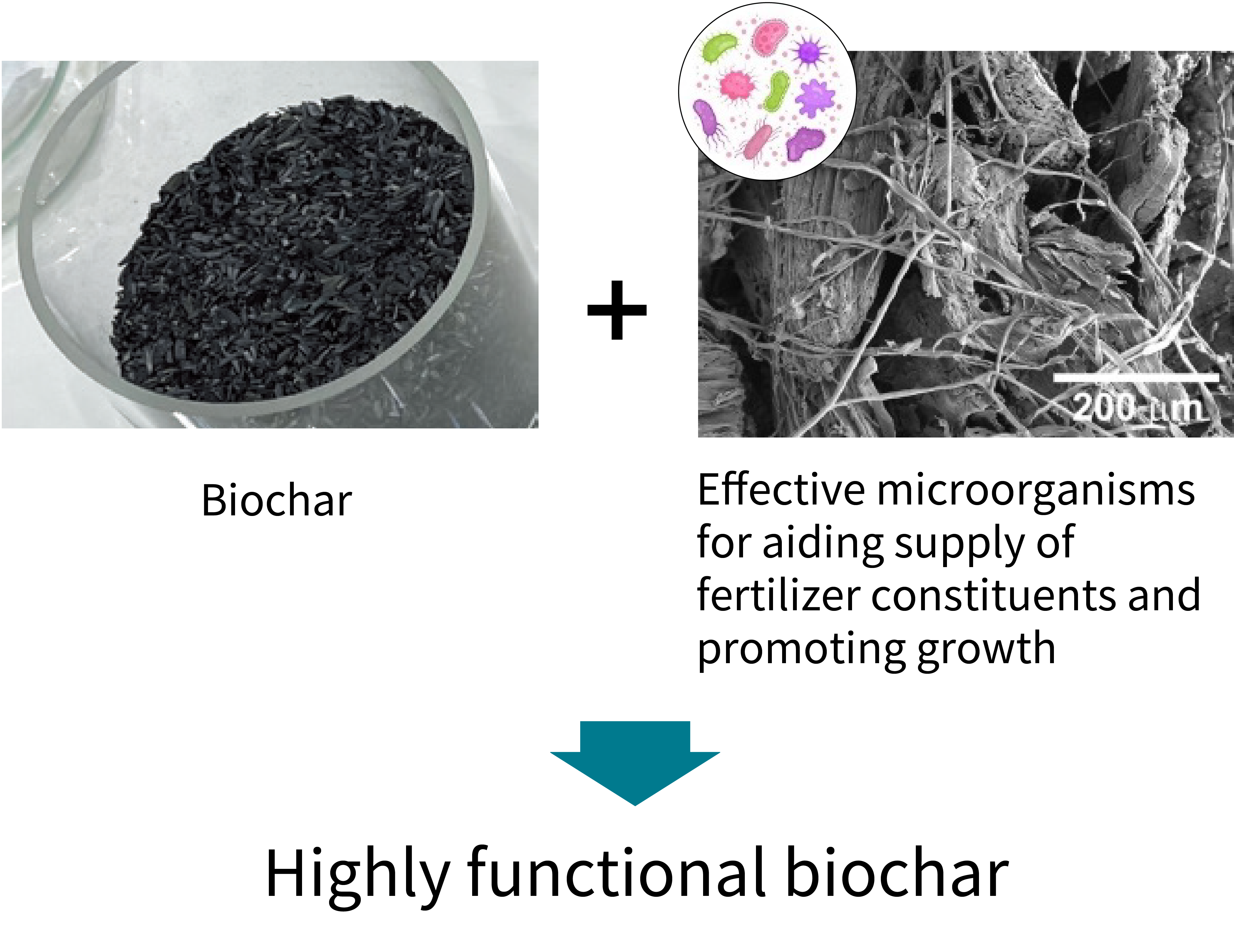 〇 Development of technologies to realize and effectively utilize high-functional biochar and other materials