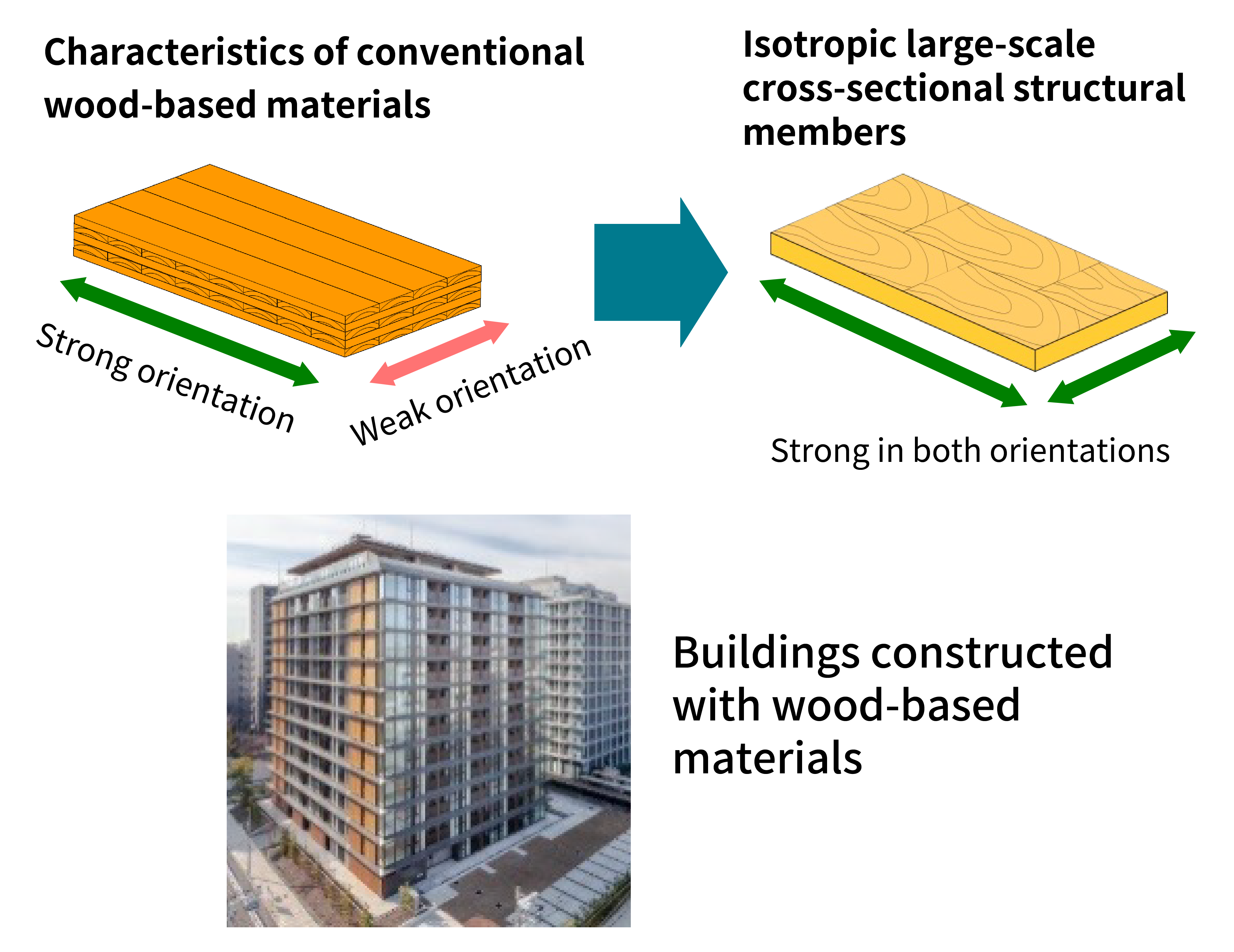 〇 Development of wood-based isotropic large-scale cross-sectional structural members for the construction of high-rise buildings and other structures
