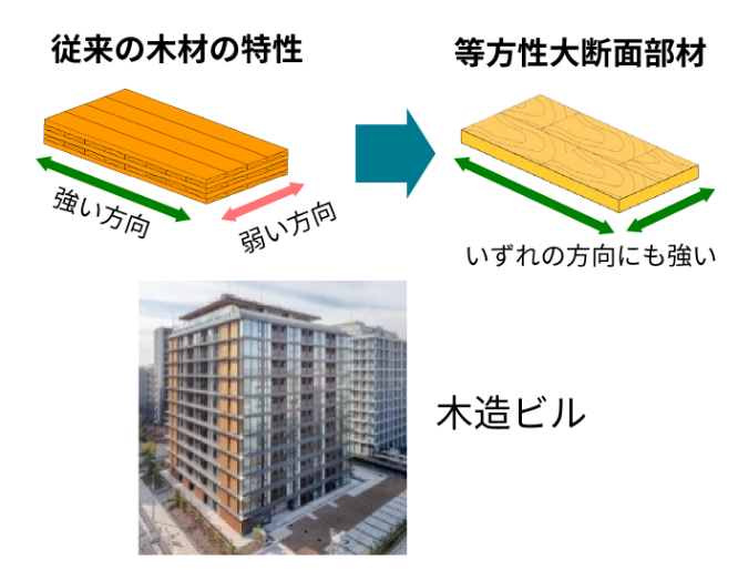 〇高層建築物等の木造化に資する等方性大断面部材の開発
